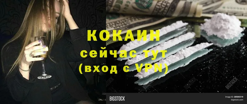 Cocaine Fish Scale  площадка состав  Донской  цены наркотик  МЕГА ТОР 